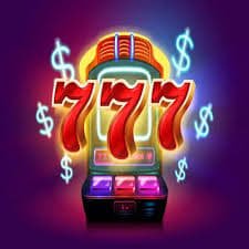 312bet14